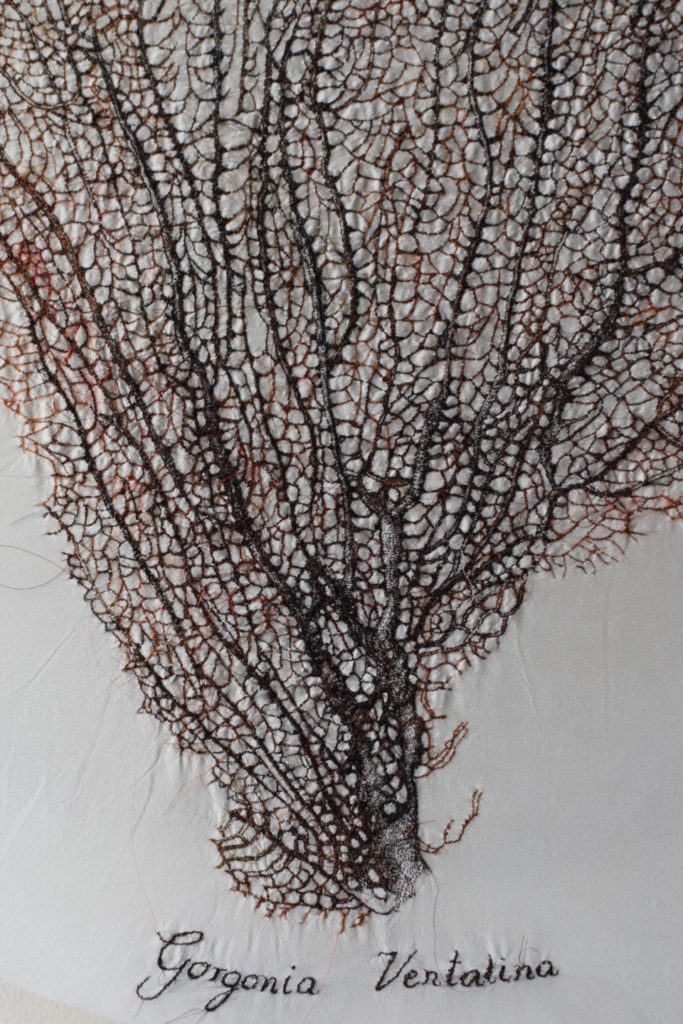 Détail - Gorgonia Ventalina de la série Précis d’Animalia – organismes de la mer - Laura Sanchez Filomeno