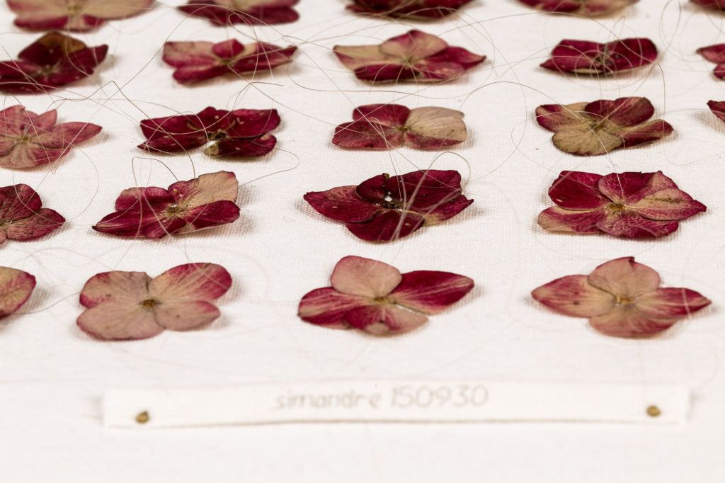 alicecalm_cheveux_couture_plantes_youcantbuybuy-39