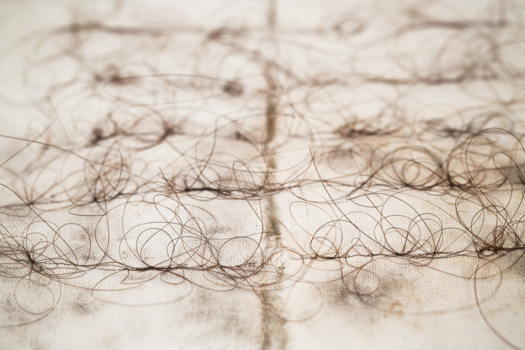 alicecalm_cheveux_tissus enterrés_broderie cheveu_lettres_kevin buy -131c
