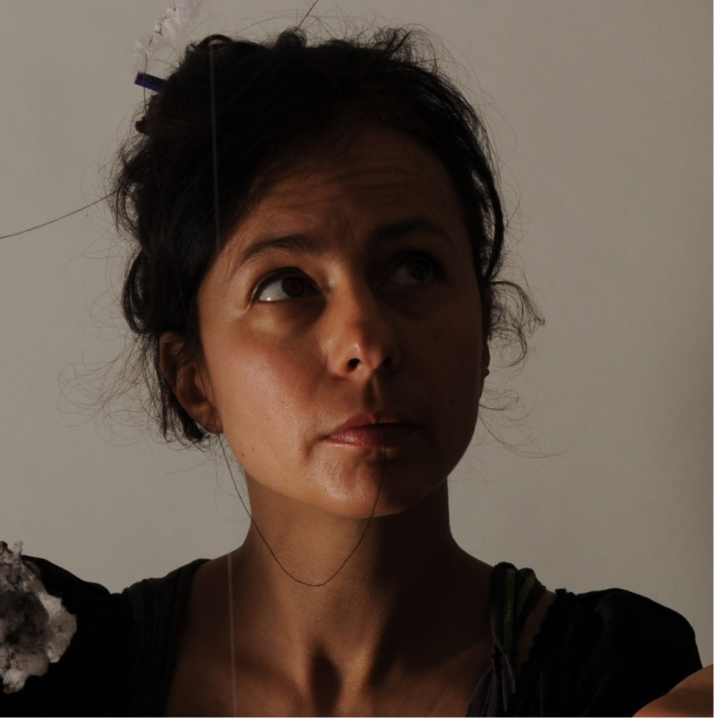 Anne Laval Fiber Art Fever