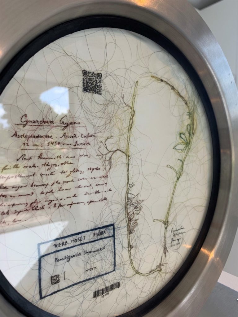 detail-HERBARIUM