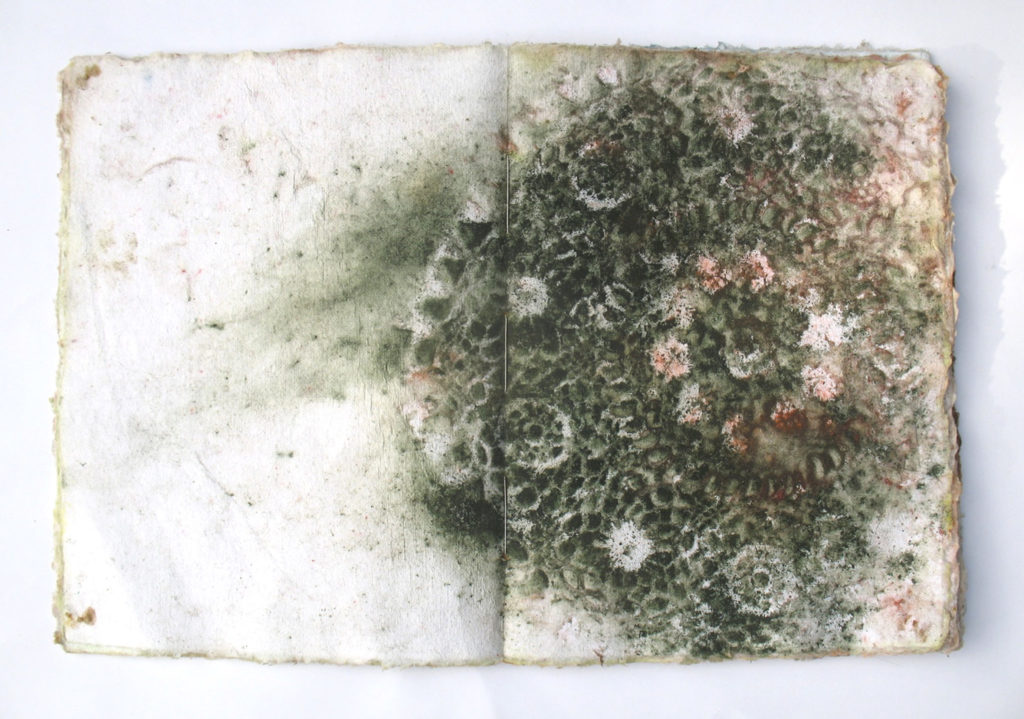 ephemeride fleurs