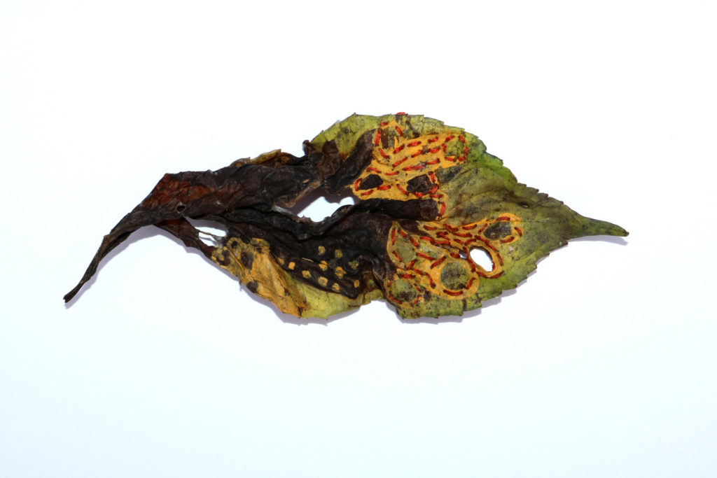 paty_vilo_feuille_2
