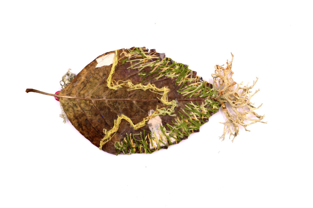 paty_vilo_feuille_6