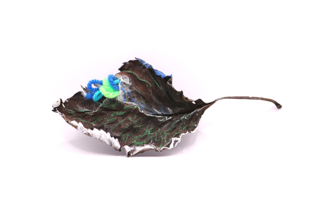 paty_vilo_feuille_8