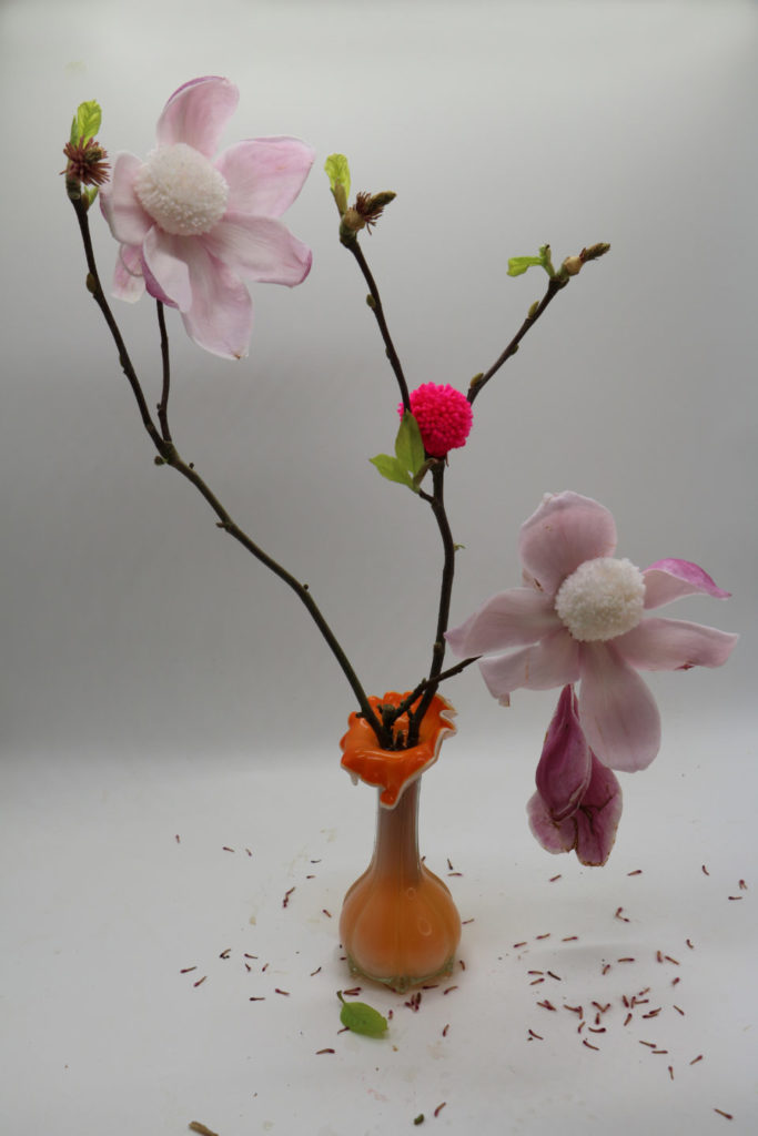 paty_vilo_magnolia_3