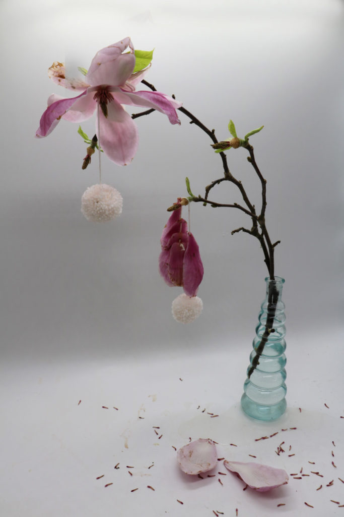 paty_vilo_magnolia_4