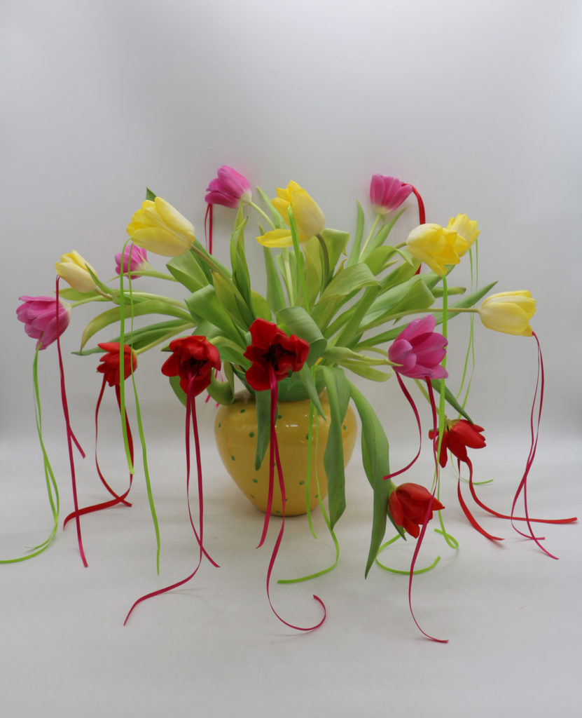 paty_vilo_tulipes_1
