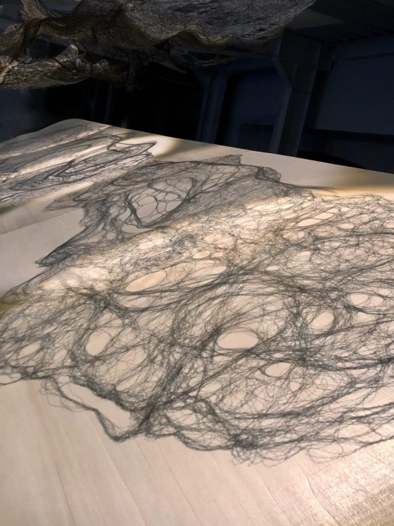 Lignes de vie 2019-