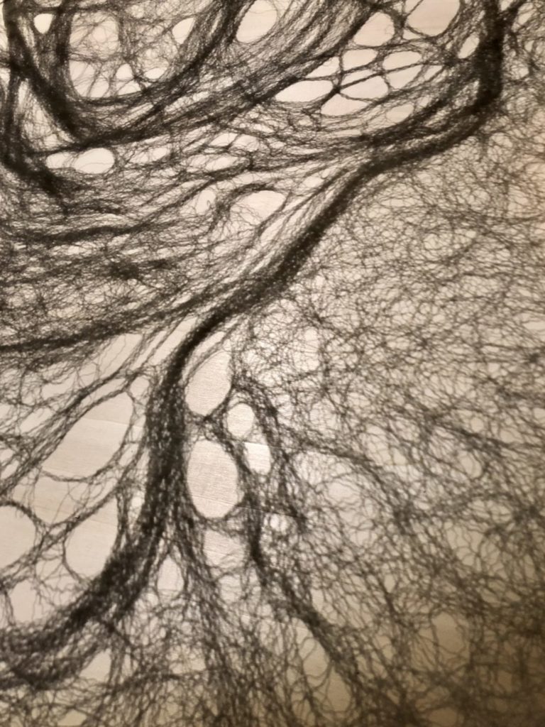 Lignes de vie 2019.