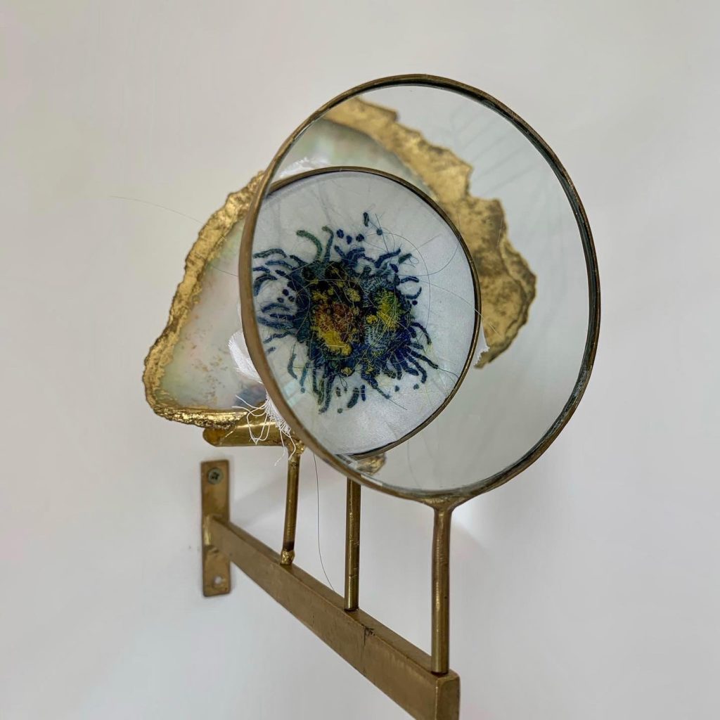 Nautilus micro organisme