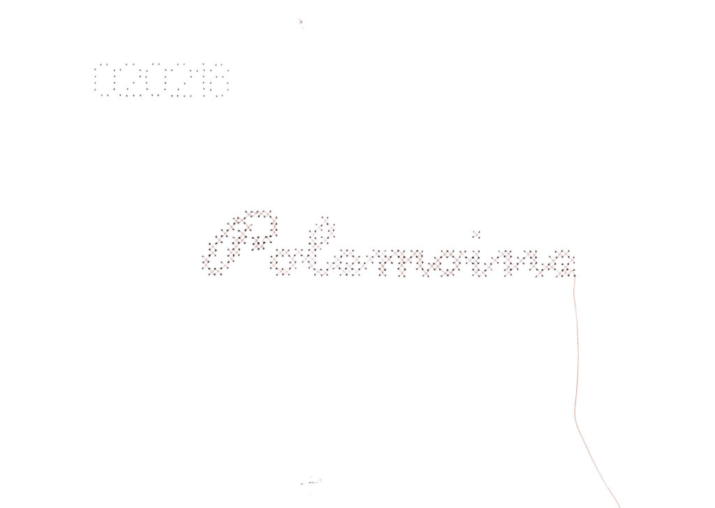 alice calm_broderie cheveux_carton_performance_valeria pacella