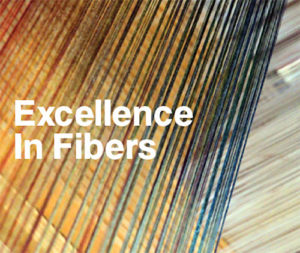 excellence in fibers 300x253 1 - News - Quimper Brest