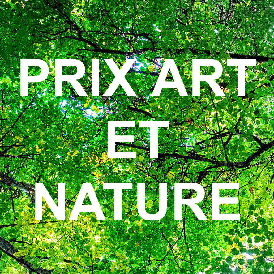ART ET NATURE WEB 2 - Accueil - Quimper Brest