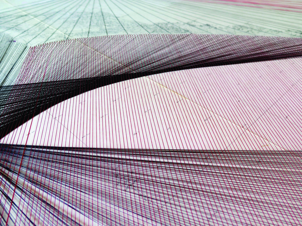 Aurelia_Cerulei_CQFD_detail1