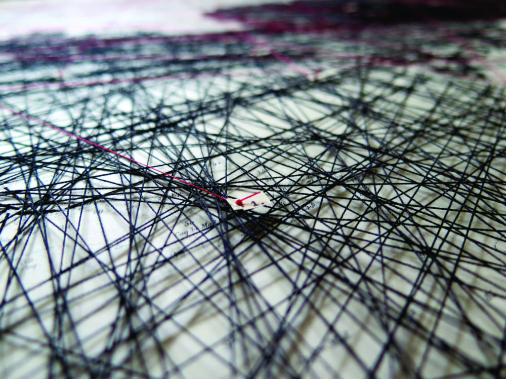 Aurelia_Cerulei_Cabotage1_detail5