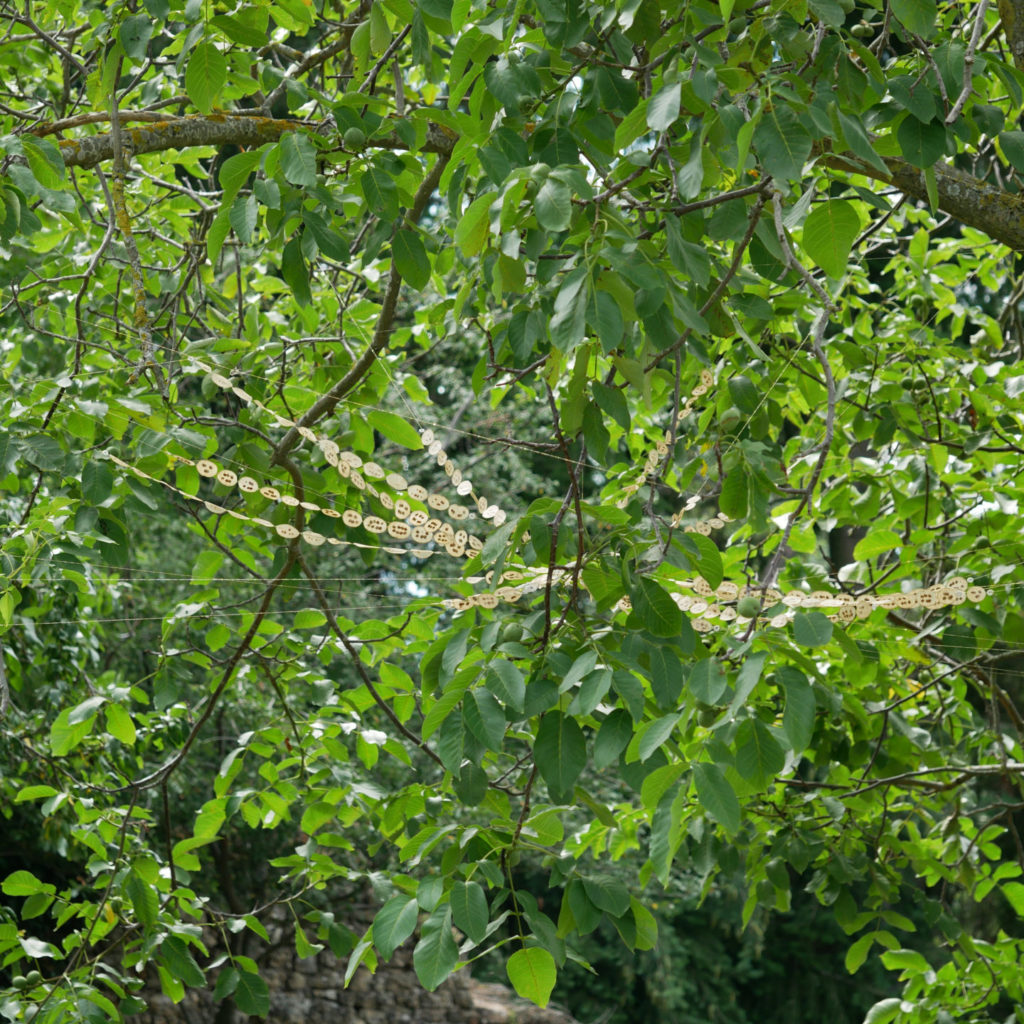 alice calm - 13 sous le noyer P1090459