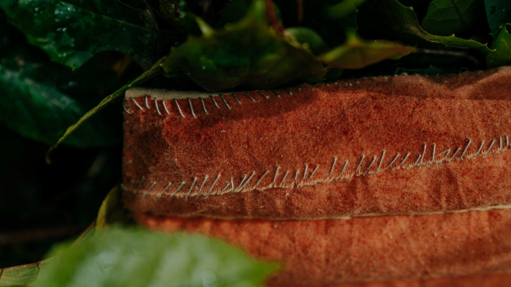 KT_BotanicGardens_work documentation_Zanelli_11_2022_WebRes-128