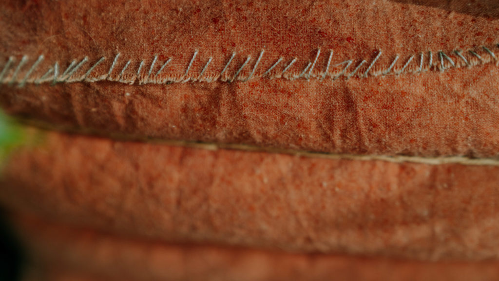 KT_BotanicGardens_work documentation_Zanelli_11_2022_WebRes-129