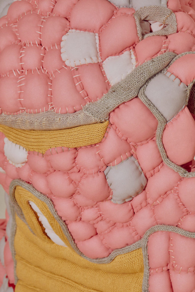 Panoply_detail_kt