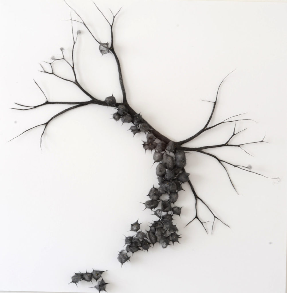 arbre de poussière 2- 50 sur 50 cm 2021- laine d'acier encrée
