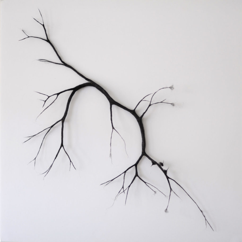 arbre de poussière 2- 50:50 -2021