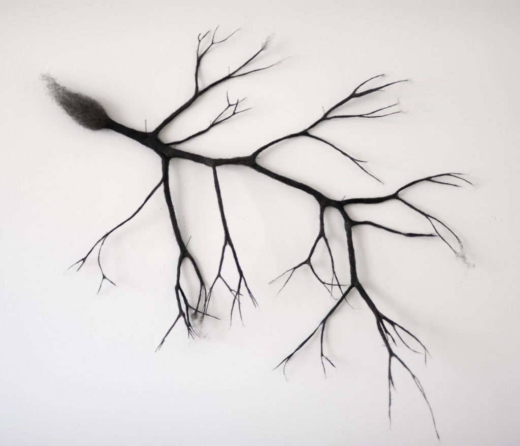 arbre de poussière3- 50:50-2022