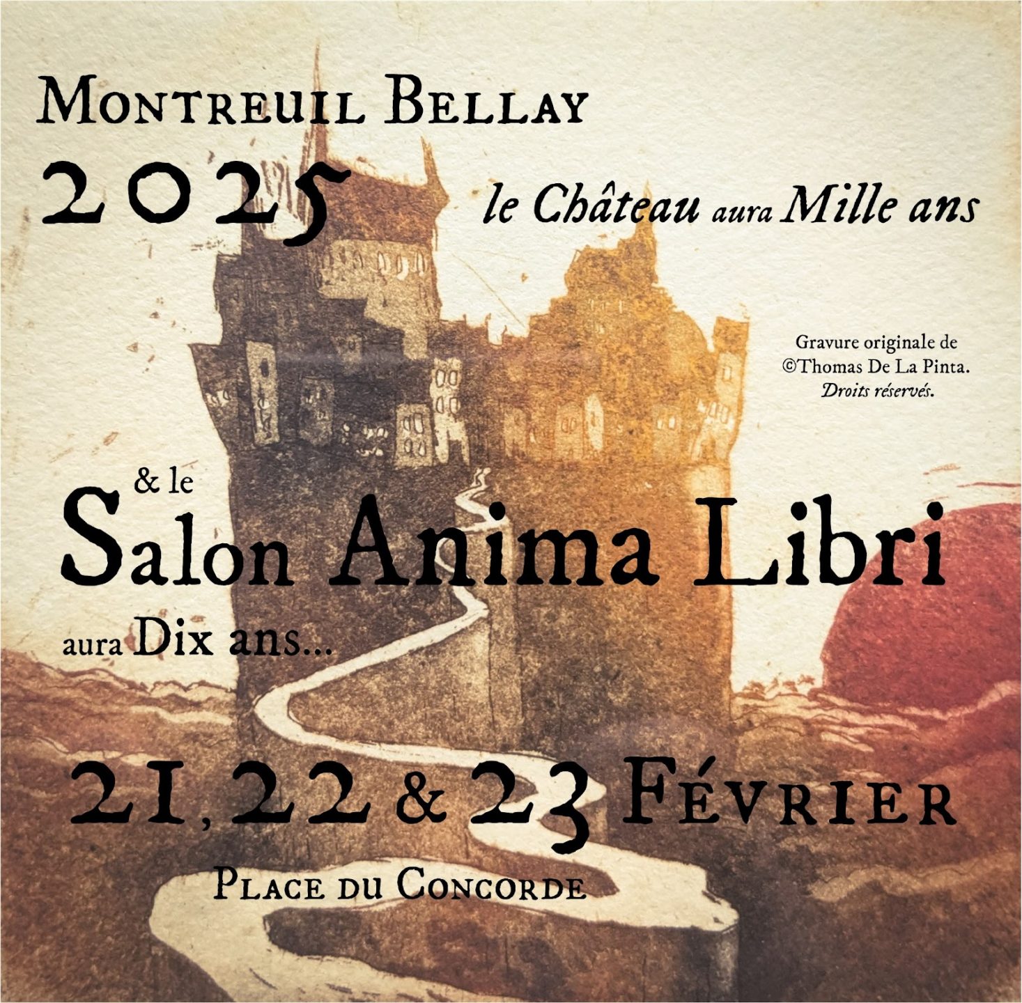 Visuel Thomas 2 - Salon Anima Libris - Quimper Brest