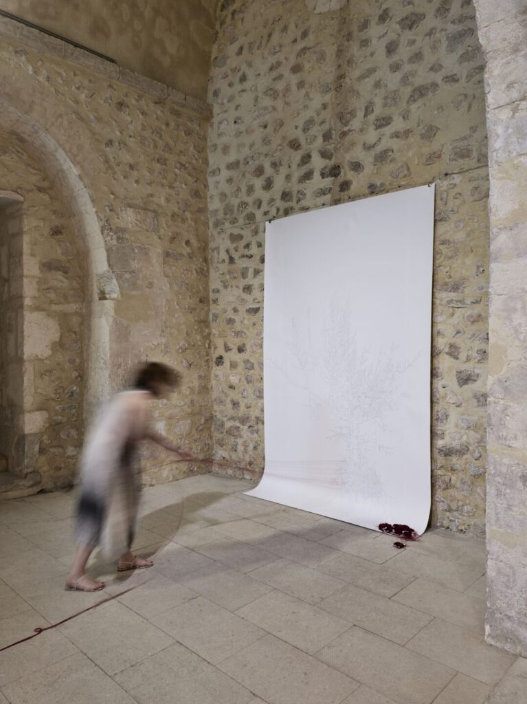 Aurelia_Cerulei_Empreinte_2024_1