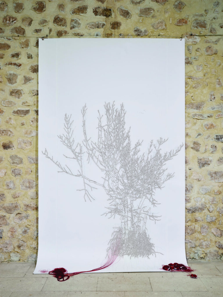Aurelia_Cerulei_Empreinte_2024_3