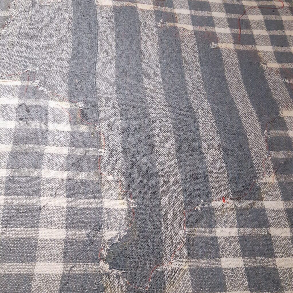 Aurelia_Cerulei_Igualdade_2019_5