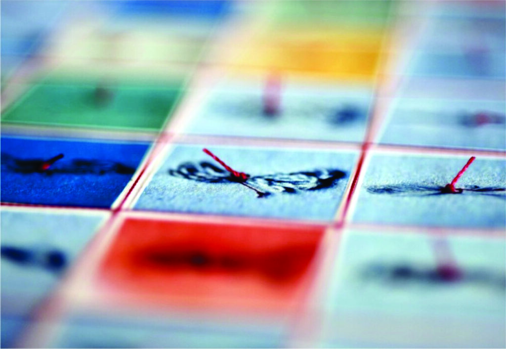 Aurelia_Cerulei_LarbreeAfils_detail1
