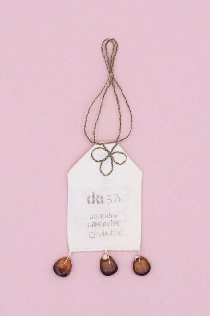alice calm - japonica lamartine du 57b web-44