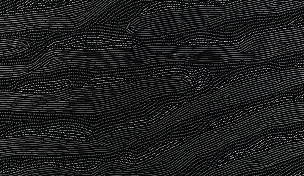 Blaise_Seguin_rides_noires_detail