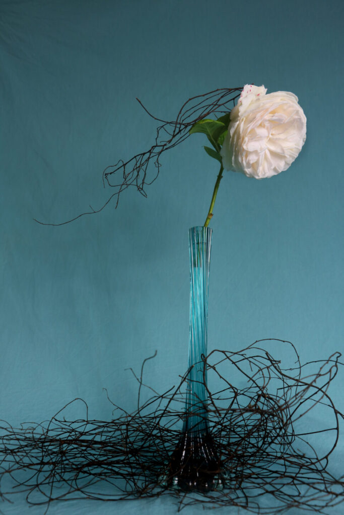 paty_vilo_roses_blanches_5