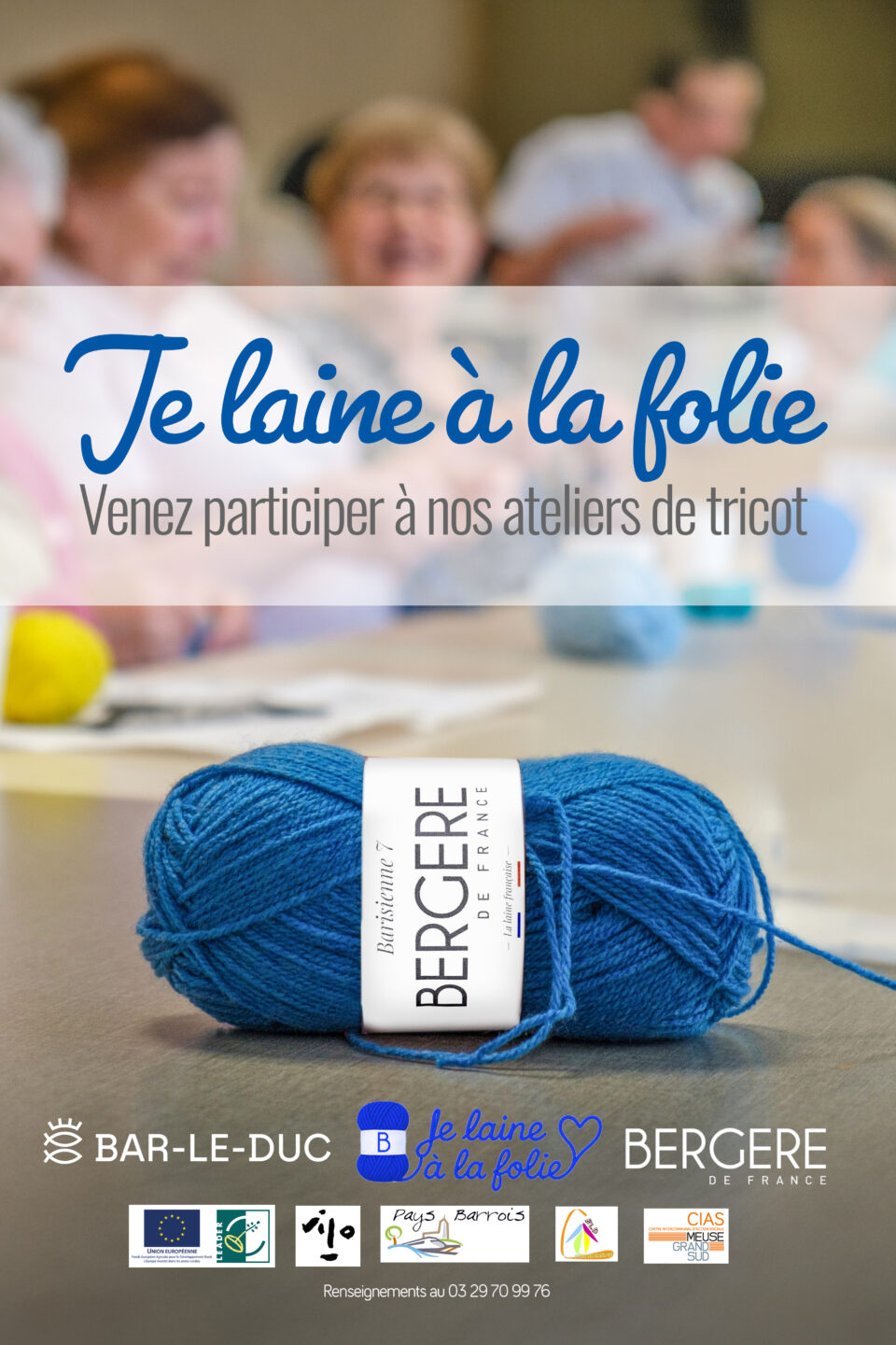 AFFICHE LAINE BERGERE A3 - Accueil - Quimper Brest
