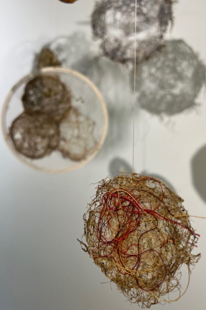 Anne_Bolduc-Cellules_de_Cocréation-Filles3