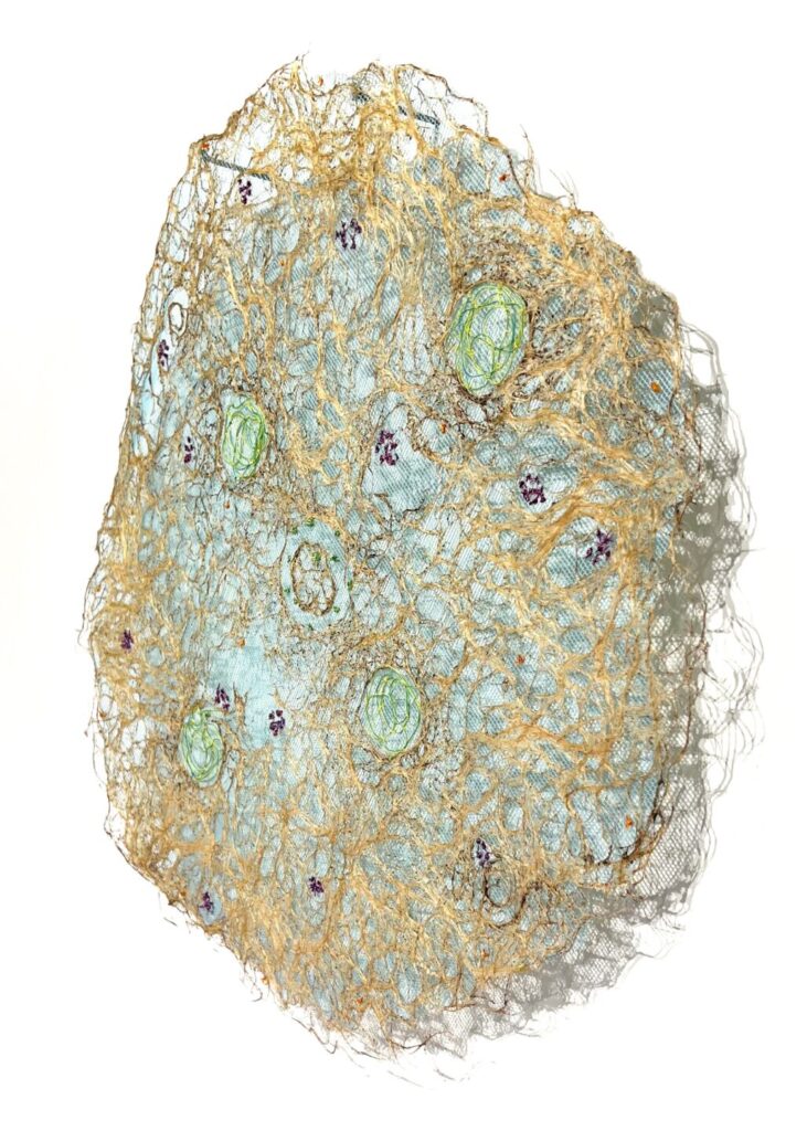 Cellules de Cocréation