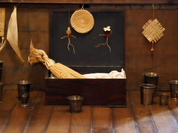 des graines en partage simandre 030226 P1370991 ultra HD 1 - Adhésion - Quimper Brest des graines en partage simandre 030226 P1370991 ultra HD 1 - Adhésion - Quimper Brest