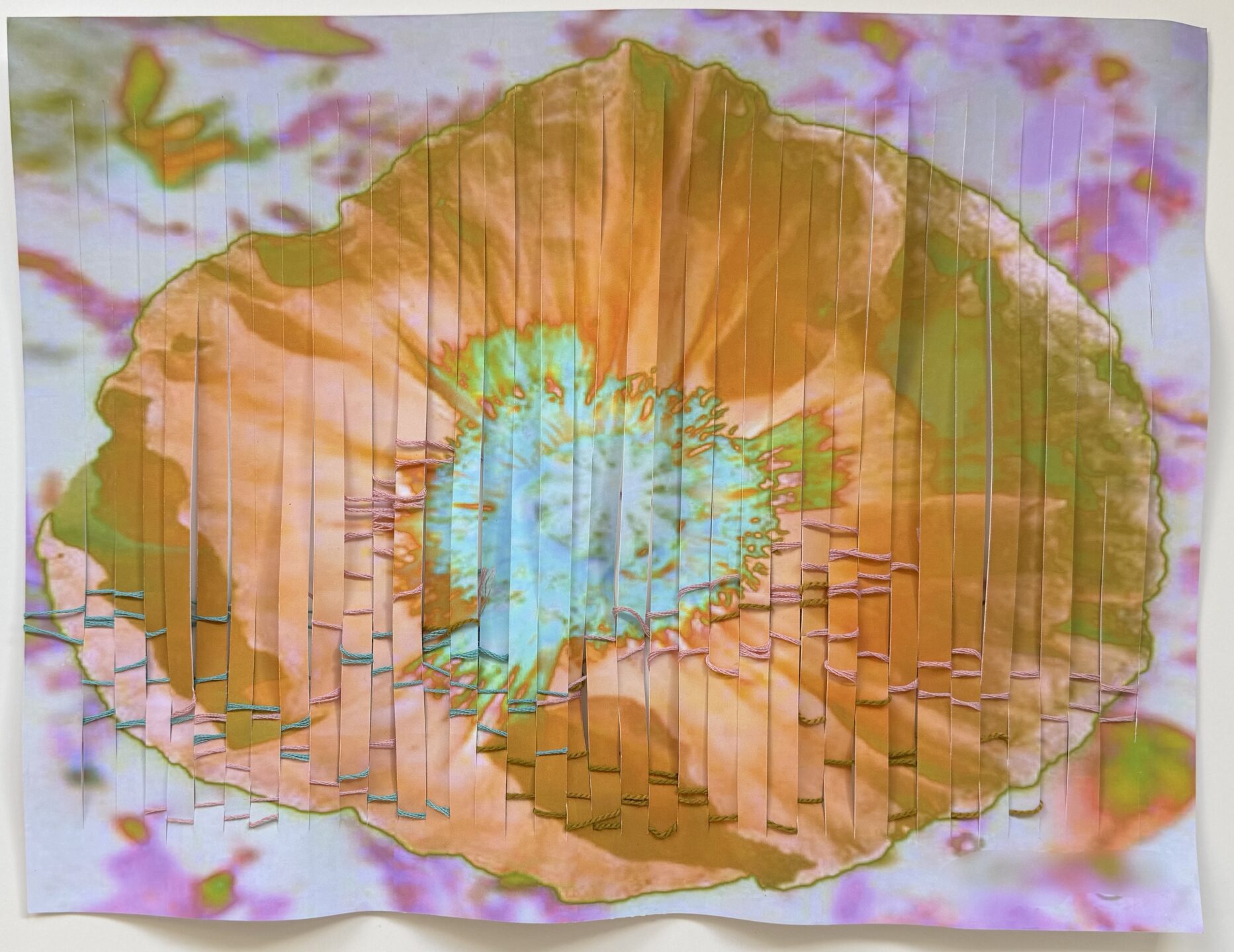 Coquelicot - Accueil - Quimper Brest Coquelicot - Accueil - Quimper Brest